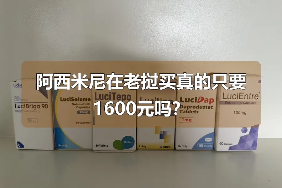 阿西米尼在老挝买真的只要1600元吗?